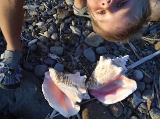 Finding shells